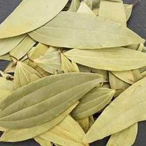 bay leaf
