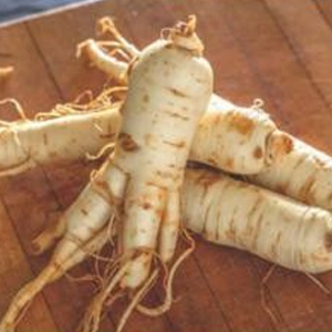 Ginseng